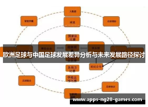 欧洲足球与中国足球发展差异分析与未来发展路径探讨