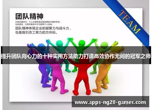 提升团队向心力的十种实用方法助力打造高效协作无间的冠军之师